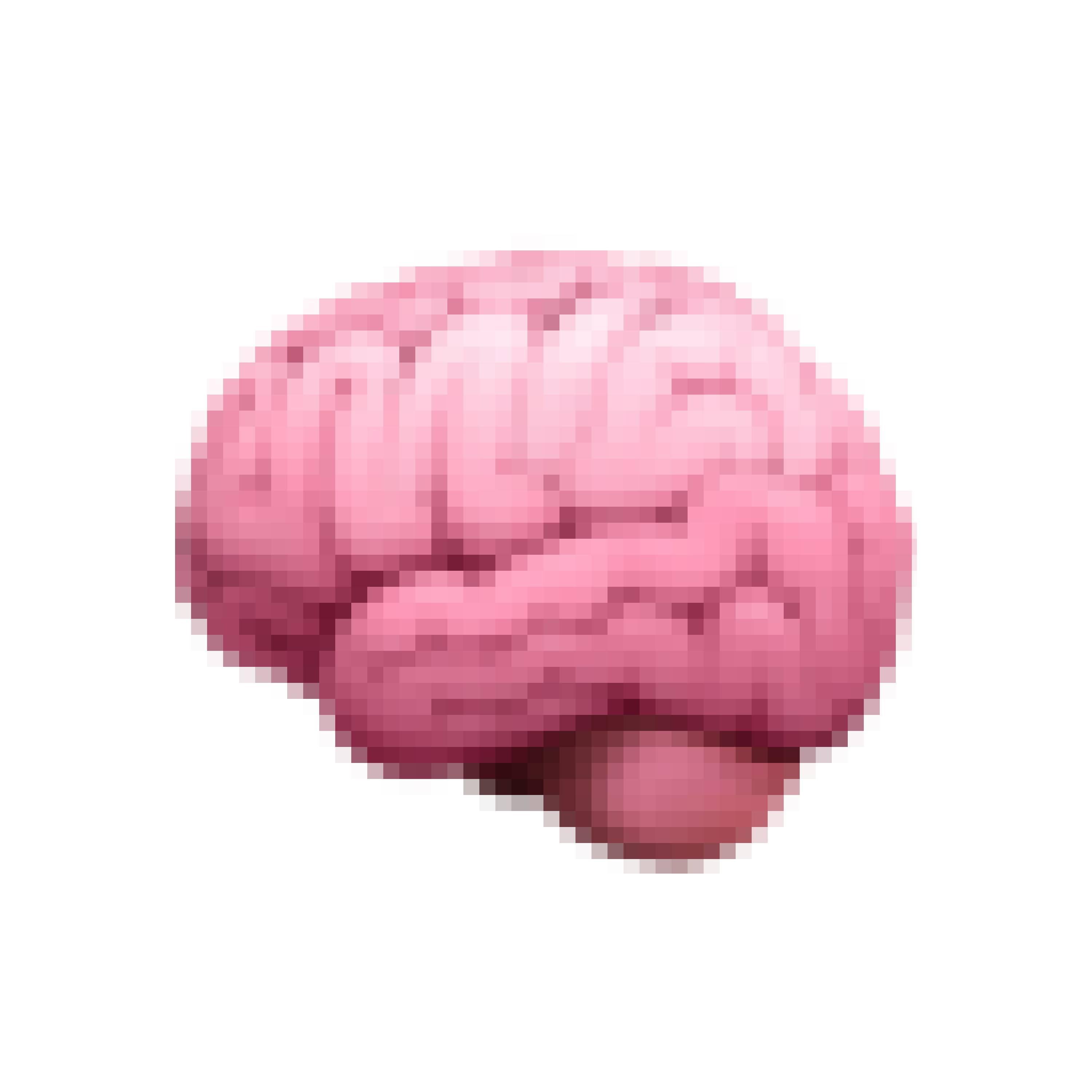 brains cover